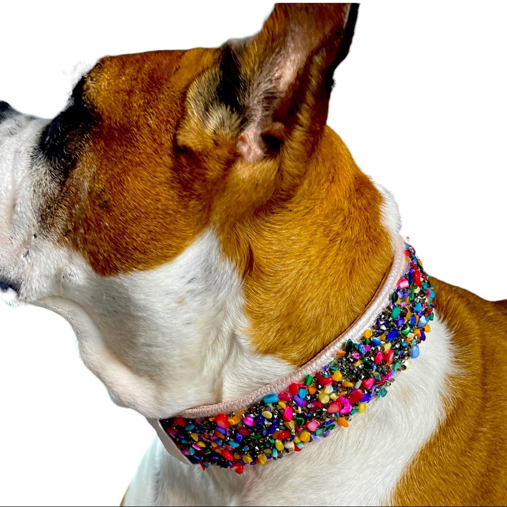 Fruity pebbles collar
